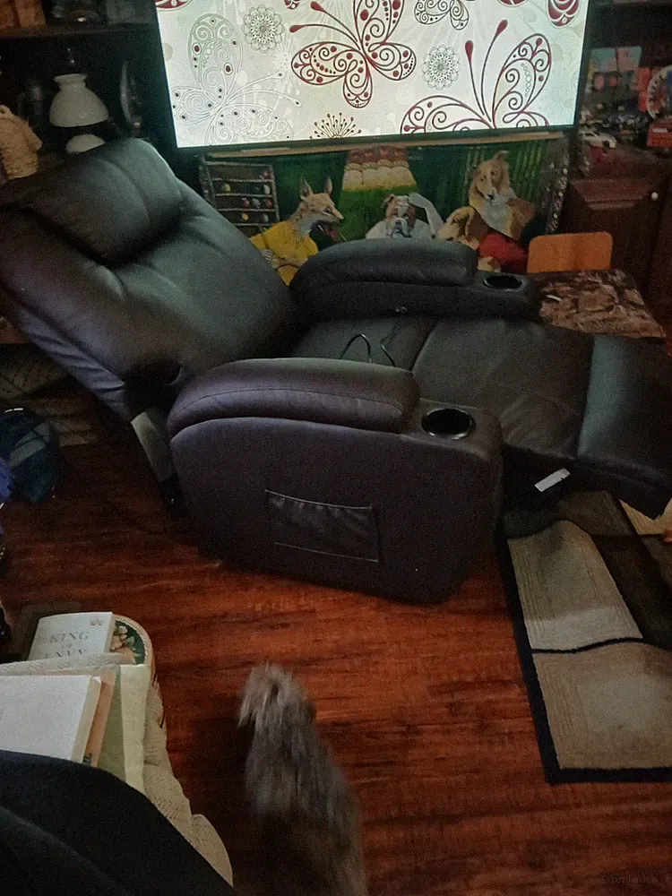 Electric Recliner With Wall Plug In